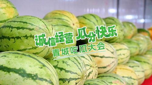 吃瓜大会是什么意思,网络热词背后的文化现象